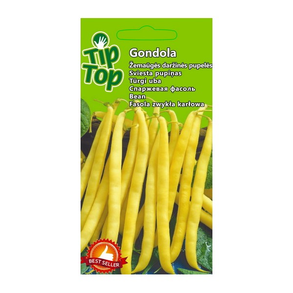 Dwarf French Bean Gondola