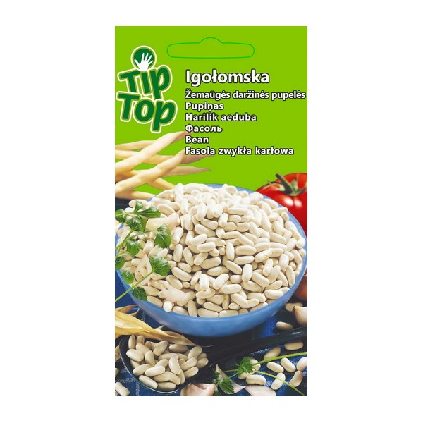 Kääpiö ranskalainen papu Igolomska