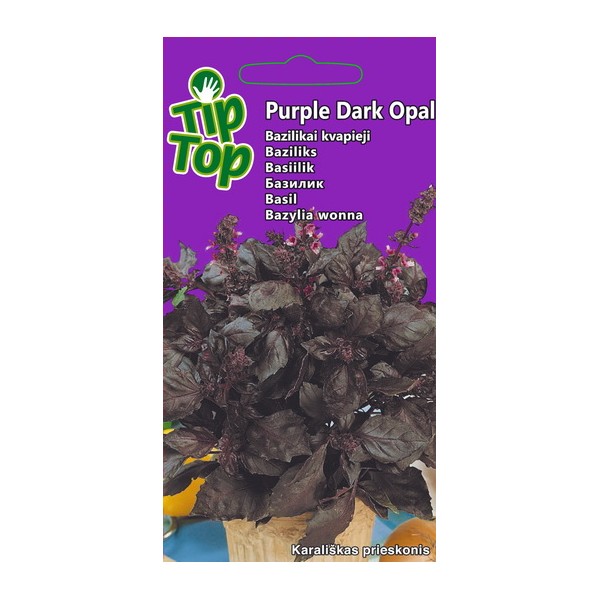 TIP TOP FRAGRANT BASIL PURPLE DARK OPAL