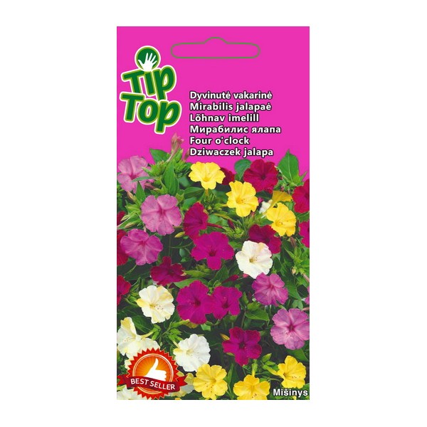 TIP TOP Four o'clocks VAKARINĖ MIX