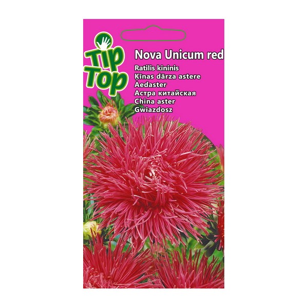 TIP TOP Chinese Aster NOVA UNICUM RED