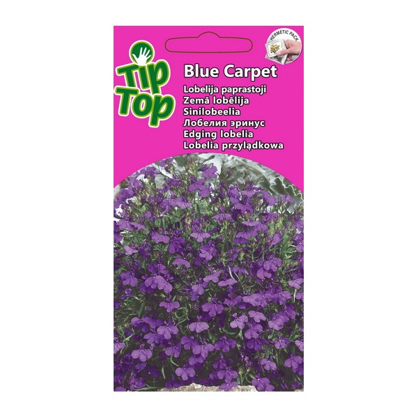 TIP TOP LOBELIA BLUE CARPET