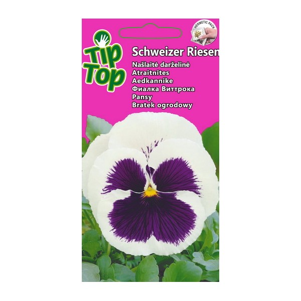 TIP TOP VIOLA SCHWEIZER RIESEN