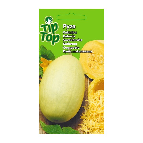 Pyza kesäkurpitsa