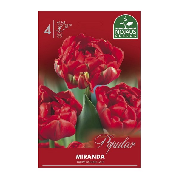 Tulip Miranda