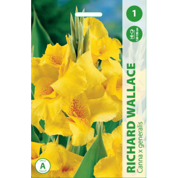 Kanna Richard Wallace