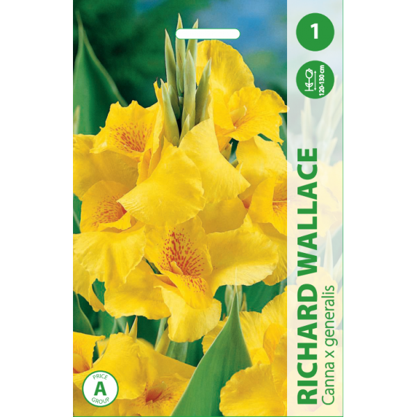 Canna Richard wallace