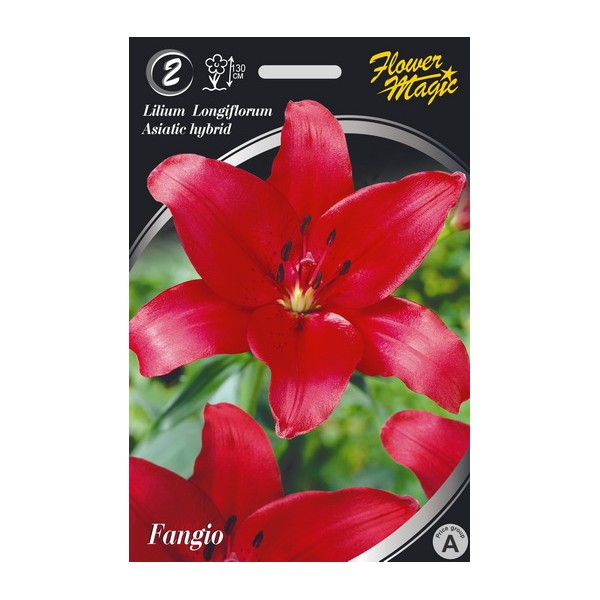 LILIES FANGIO 2PC