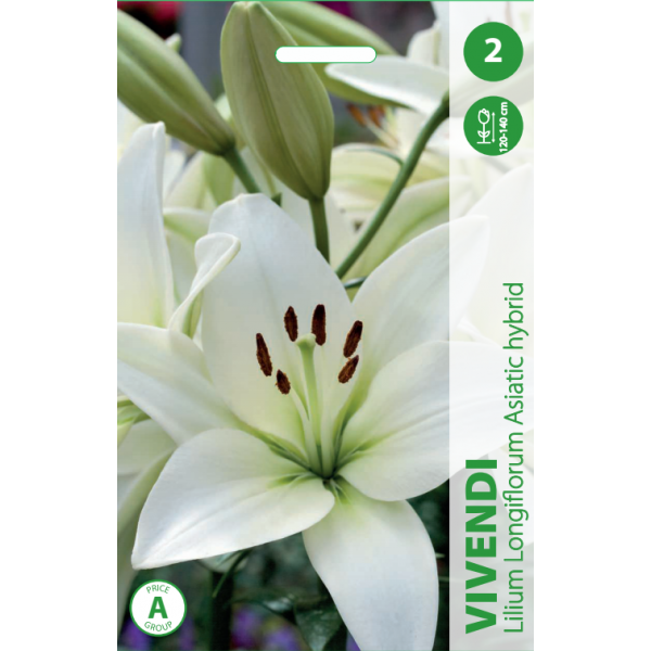 LILIES VIVENDI 2pcs