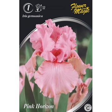 Iris Pink Horizon