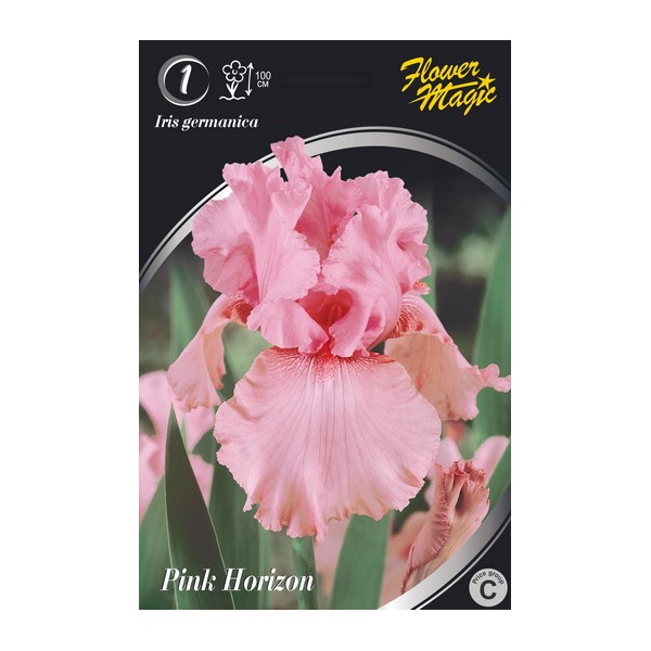 Iris Pink Horizon