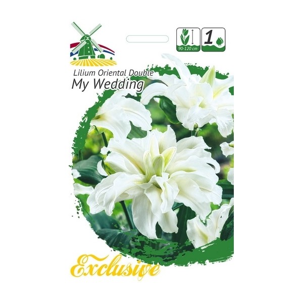 Exclusive Oriental Lilies MY WEDDING 1pc