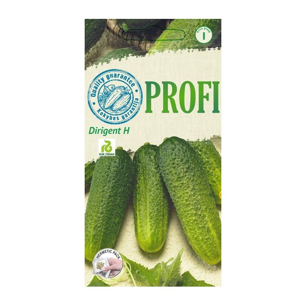 CUCUMBERS, SHORT-FRUITED, DIRIGENT H