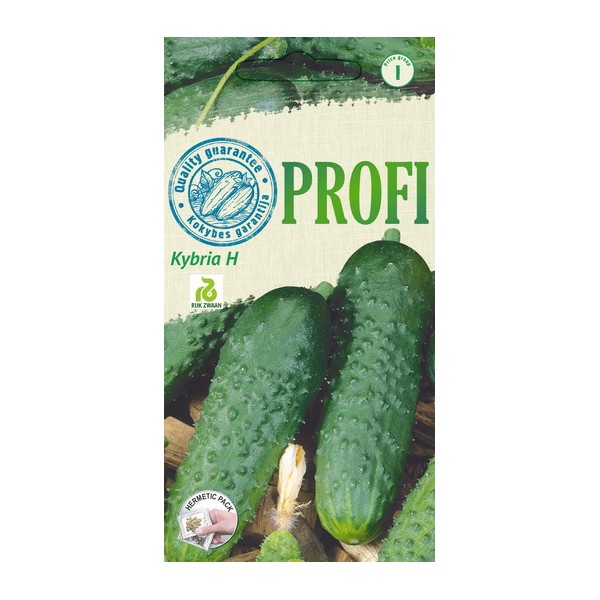 SHORT-FRUITED CUCUMBER Seeds KYBRIA H