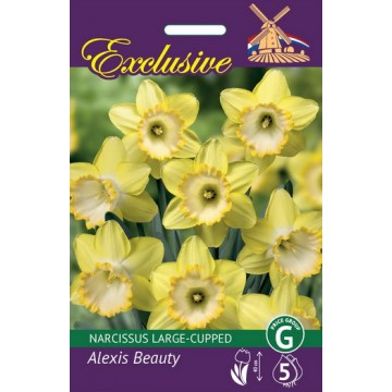 Daffodil Exclusive Alexis...