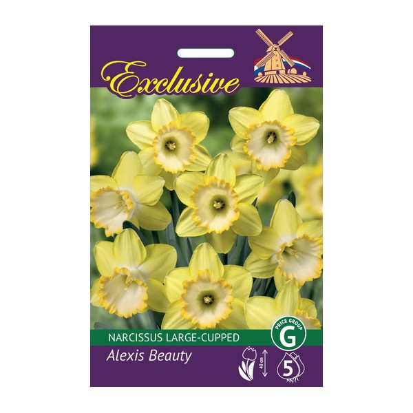 Daffodil Exclusive Alexis Beauty