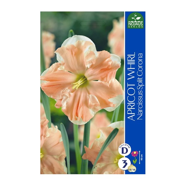 NARSISSI APRICOT WHIRL