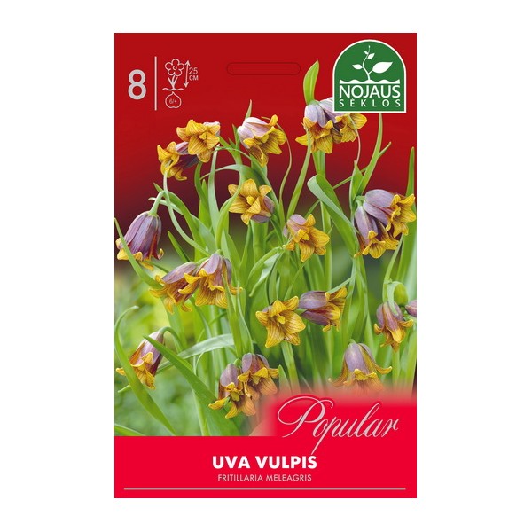 Pikarililja Uva-Vulpis