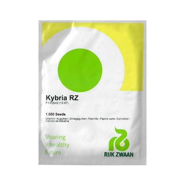 SHORT-FRUITED CUCUMBERS KYBRIA H 1000 seeds