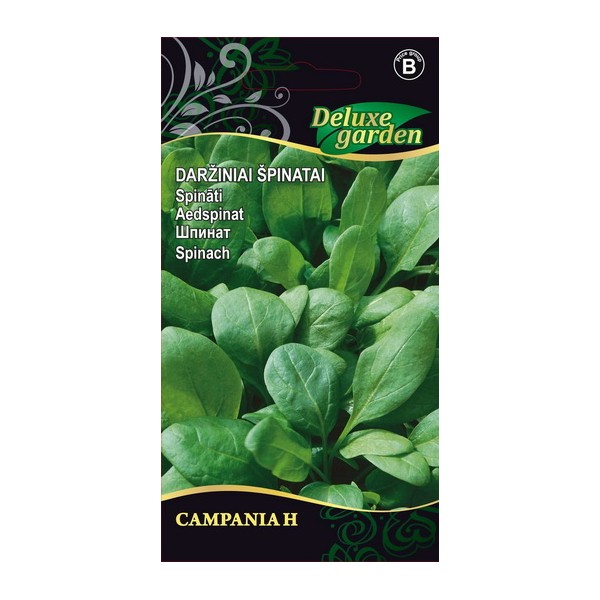 VIHANNESPINAATTI CAMPANIA H