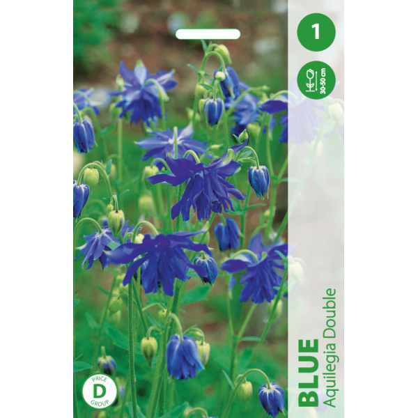 SINAVADAS PILNAVIDURIS BLUE