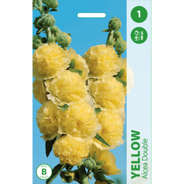 Salkoruusu (Alcea rosea) Double Yellow
