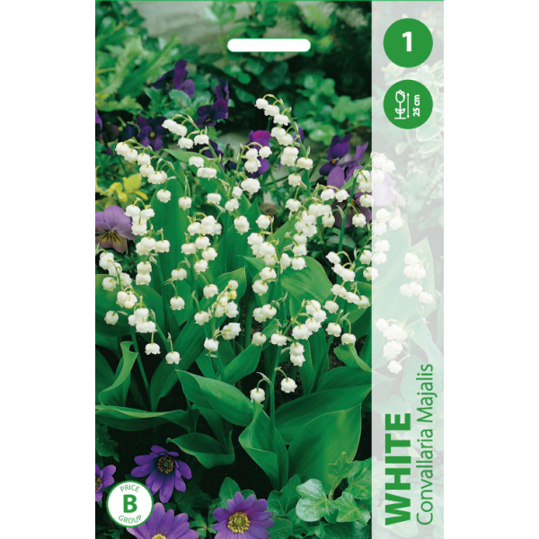 Lily of the valley WHITE 1pc