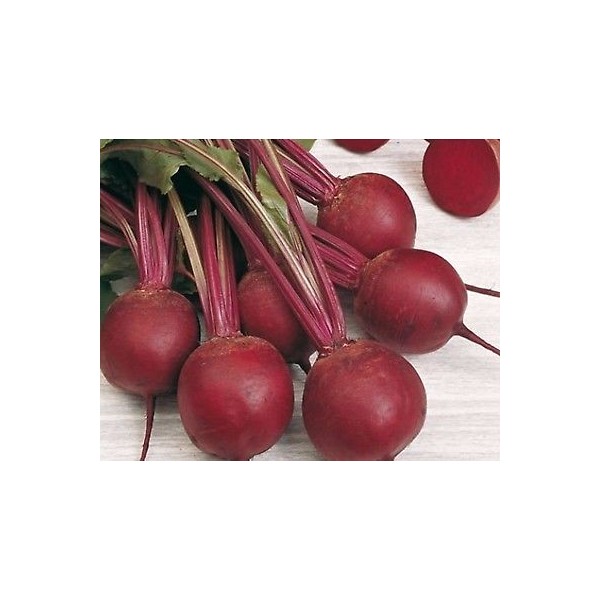 PUNAJUURIKAS BORDO 500g