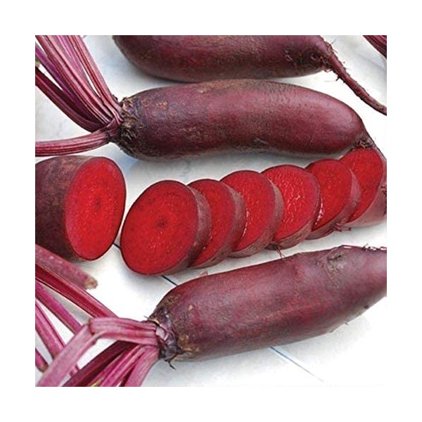 Red Beet CYLINDRA 250g