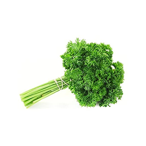 Parsley MOSS CURLED 100g