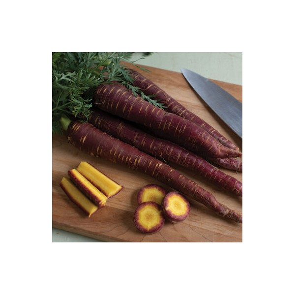 Carrots PURPLE ELITE H 130 seeds