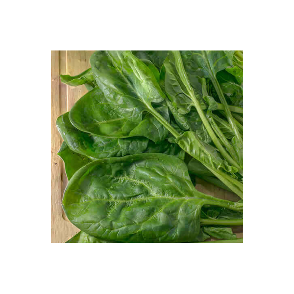 VIHANNESPINAATTI MATADOR 500g