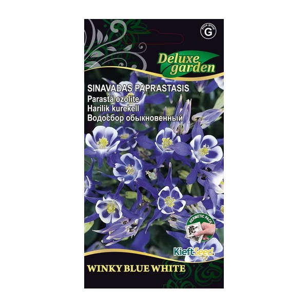 Aquilegia vulgaris WINKY BLUE WHITE 10 seeds