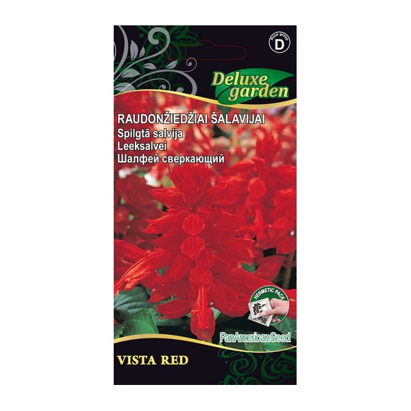 Salvia splendens VISTA RED