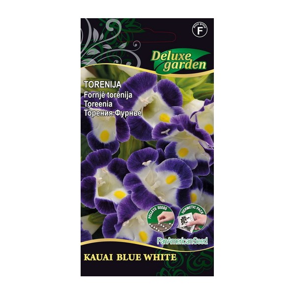 TORENIA KAUAI BLUE WHITE