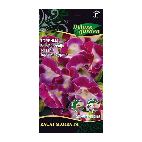 TORENIA KAUAI MAGENTA