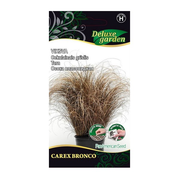 CAREX BRONCO