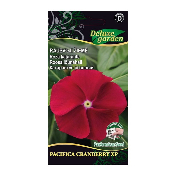 Madagascar Periwinkle PACIFICA - XP CRANBERRY XP