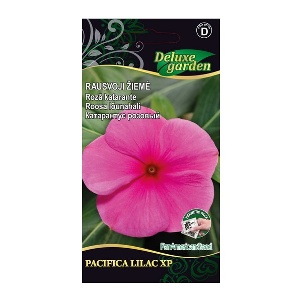 Madagascar Periwinkle PACIFICA - XP LILAC