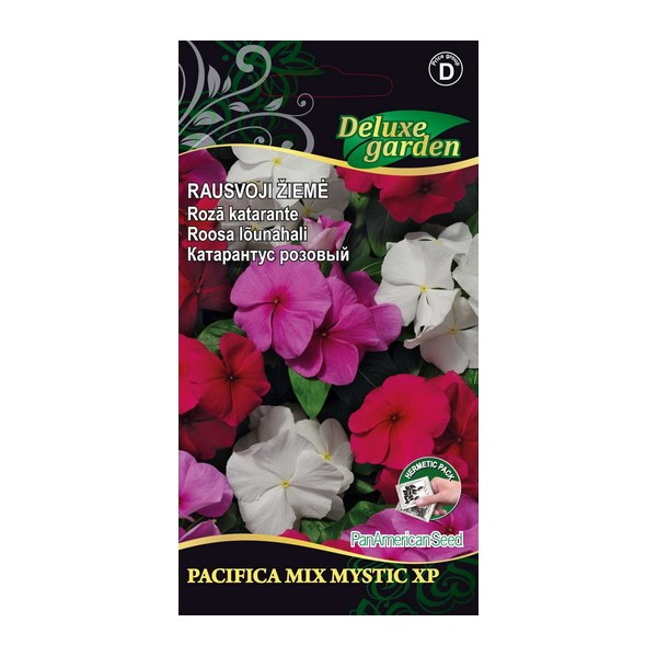 Madagascar Periwinkle PACIFICA - XP MIX MYSTIC XP