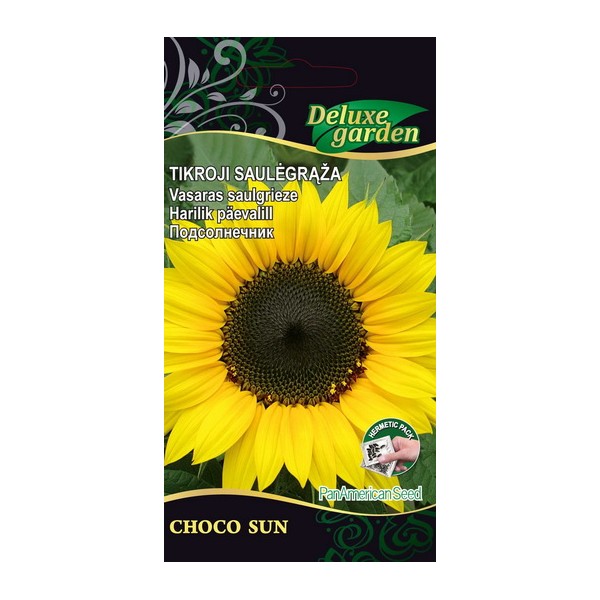 SUNFLOWER CHOCO SUN