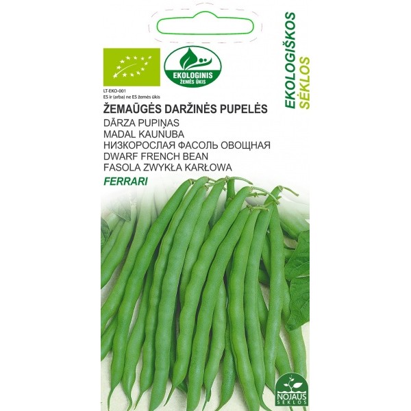 ECO DWARF BEANS FERRARI