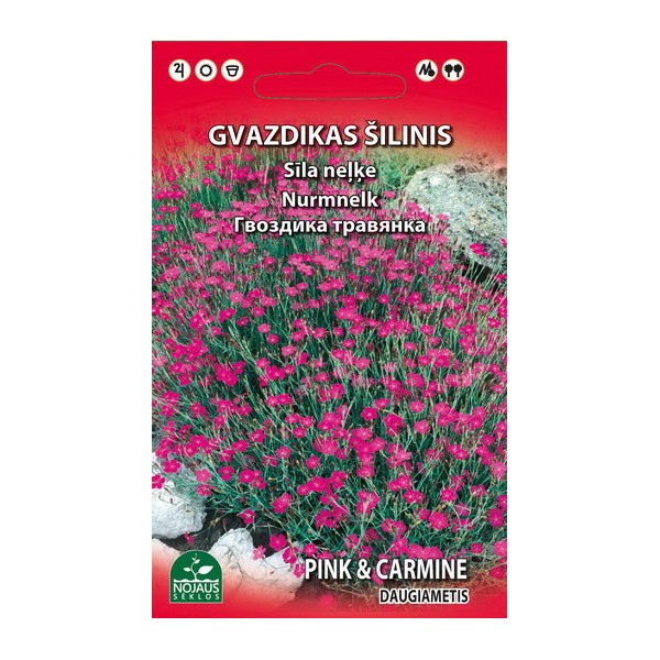 Dianthus perennial 0,2g
