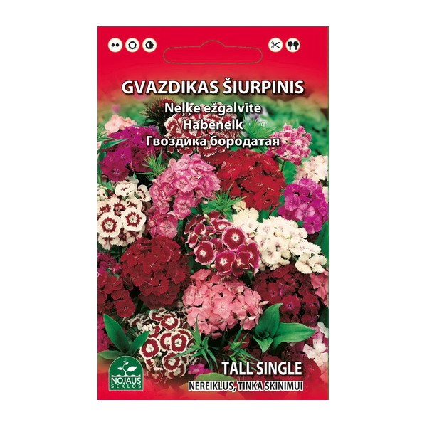Dianthus barbatus 0,5