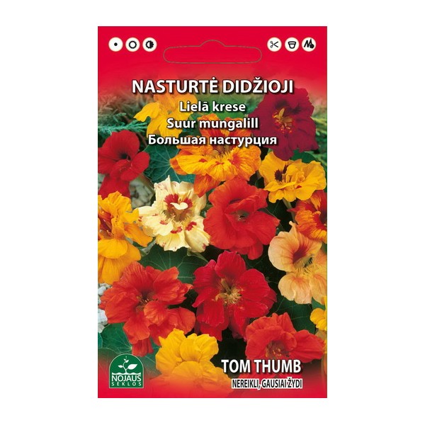 Nasturtium grand