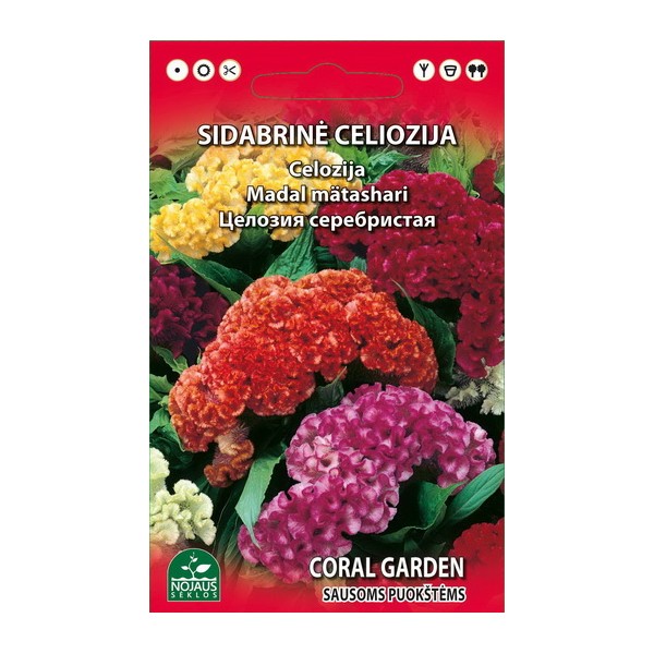 CELOSIA MIX