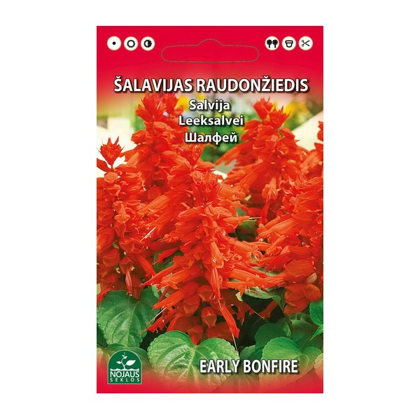 Salvia splendens 0,2g