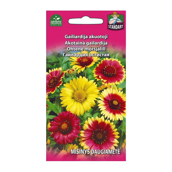 Blanket flowers (aristata) perennial