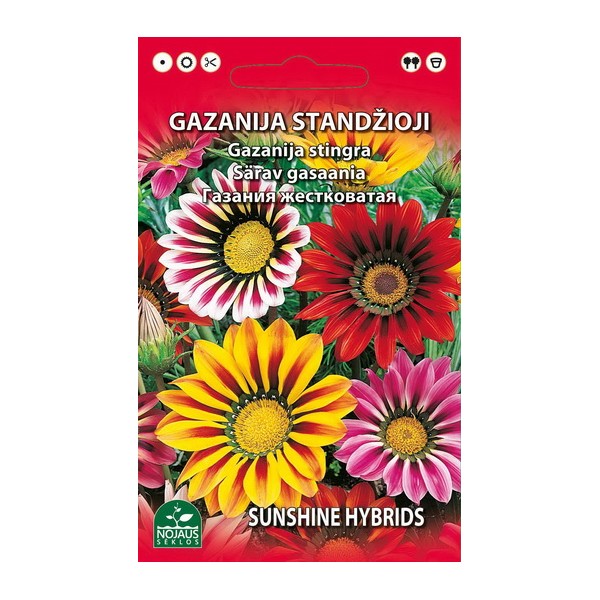Tähtisilmät (Osteospermum)