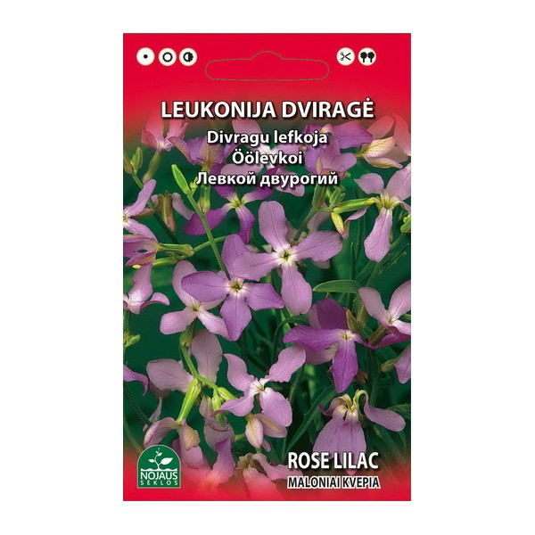 LEUKONIA KAKSISIRKKAINEN
